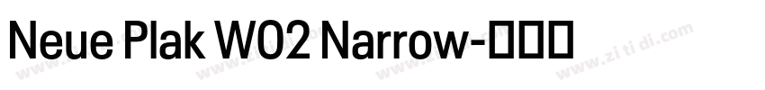 Neue Plak W02 Narrow字体转换 Neue Plak W02 Narrow字体转换